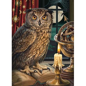 Cobble Hill (80198) - "The Astrologer" - 1000 Teile Puzzle