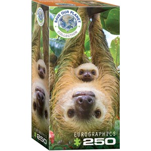 Eurographics (8251-5556) - "Sloths" - 250 Teile Puzzle