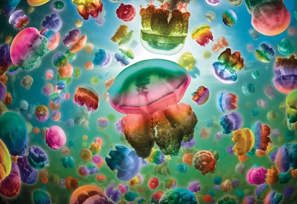 Gibsons (G6602) - "Bunte Quallen" - 1000 Teile Puzzle