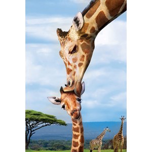 Eurographics (8251-0294) - "Giraffes" - 250 Teile Puzzle