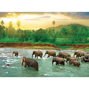 Eurographics (6000-5540) - "Tierreich" - 1000 Teile Puzzle