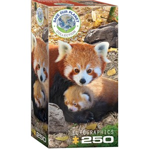 Eurographics (8251-5557) - "Red Pandas" - 250 Teile Puzzle