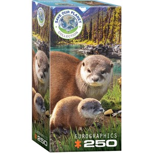 Eurographics (8251-5558) - "Otters" - 250 Teile Puzzle