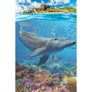 Eurographics (8251-5560) - "Dolphins" - 250 Teile Puzzle