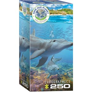 Eurographics (8251-5560) - "Dolphins" - 250 Teile Puzzle