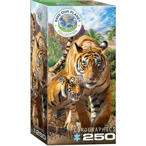 Eurographics (8251-5559) - "Tigers" - 250 Teile Puzzle