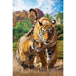 Eurographics (8251-5559) - "Tigers" - 250 Teile Puzzle
