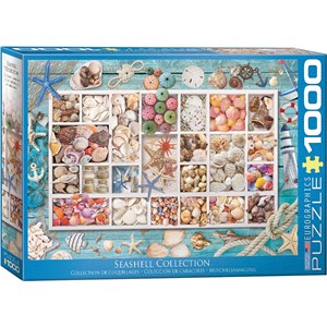 Eurographics (6000-5529) - "Muschelsammlung" - 1000 Teile Puzzle