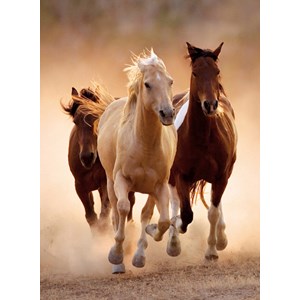 Clementoni (39168) - "Wildpferde im Galopp" - 1000 Teile Puzzle