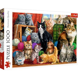 Trefl (10555) - "Katzen" - 1000 Teile Puzzle