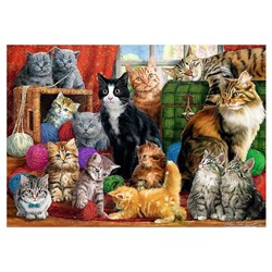 Trefl (10555) - "Katzen" - 1000 Teile Puzzle