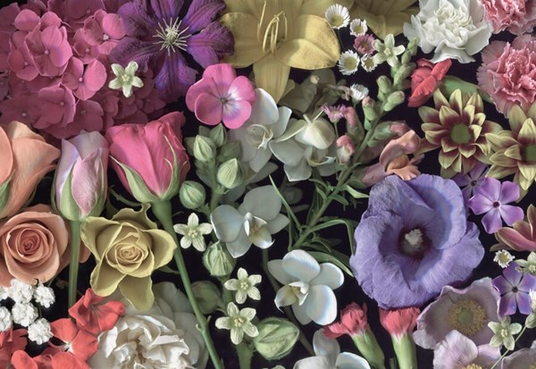 Cloudberries (33006) - "Flowers" - 1000 Teile Puzzle