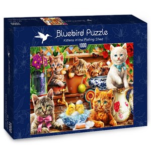 Bluebird Puzzle (70241) - Adrian Chesterman: "Kittens in the Potting Shed" - 1000 Teile Puzzle
