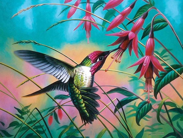 SunsOut (70941) - Cynthie Fisher: "Hummingbird Haven" - 500 Teile Puzzle