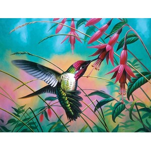 SunsOut (70941) - Cynthie Fisher: "Hummingbird Haven" - 500 Teile Puzzle
