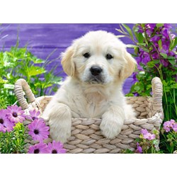 Ravensburger (14829) - "Süßer Golden Retriever" - 500 Teile Puzzle