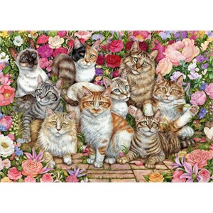 Falcon (11246) - "Katzen im Rosengarten" - 1000 Teile Puzzle