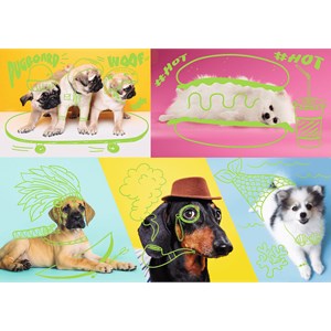 Trefl (10578) - "Far out dogs" - 1000 Teile Puzzle