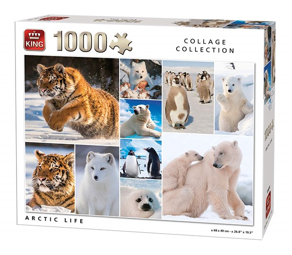 King International (55870) - "Arctic Life" - 1000 Teile Puzzle
