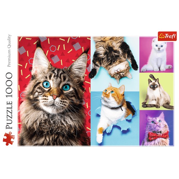 Trefl (10591) - "Happy cats" - 1000 Teile Puzzle