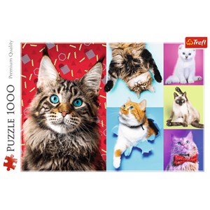 Trefl (10591) - "Happy cats" - 1000 Teile Puzzle