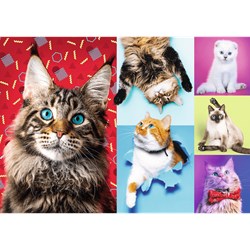 Trefl (10591) - "Happy cats" - 1000 Teile Puzzle