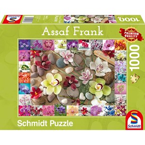 Schmidt Spiele (59632) - Assaf Frank: "Orchideen" - 1000 Teile Puzzle