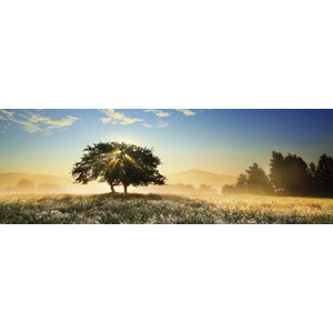 Heye (29901) - "Lichtspiele" - 1000 Teile Puzzle