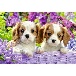 Ravensburger (05029) - "Freunde mit Fell" - 24 Teile Puzzle