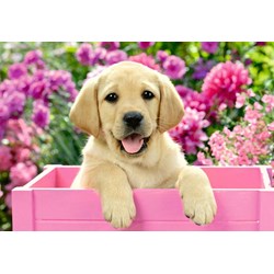 Ravensburger (05029) - "Freunde mit Fell" - 24 Teile Puzzle