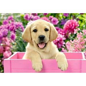 Ravensburger (05029) - "Freunde mit Fell" - 24 Teile Puzzle