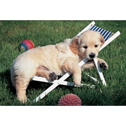 Ravensburger (14956) - "Easy Cuddly" - 204 Teile Puzzle