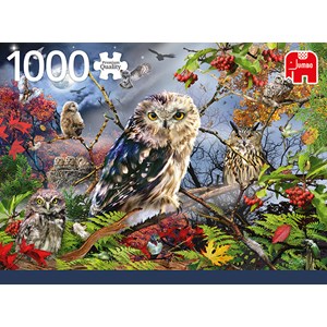 Jumbo (18859) - "Owls in the Moonlight" - 1000 Teile Puzzle