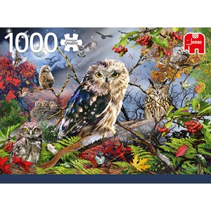 Jumbo (18859) - "Owls in the Moonlight" - 1000 Teile Puzzle