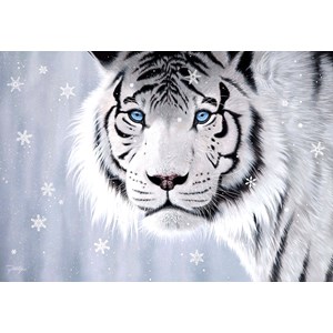 Anatolian (3613) - Jon Rattenbury: "Crystal Eyes" - 500 Teile Puzzle