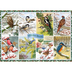 Falcon (11234) - Anne Searle: "Winter Birds" - 1000 Teile Puzzle