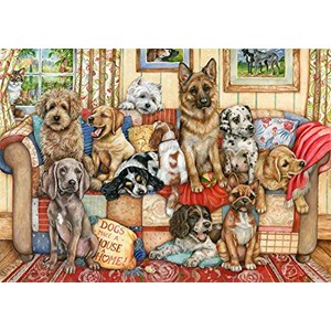 Falcon (11293) - "Gathering on The Couch" - 1000 Teile Puzzle