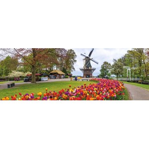 Jumbo (18517) - "Keukenhof, Niederlande" - 1000 Teile Puzzle