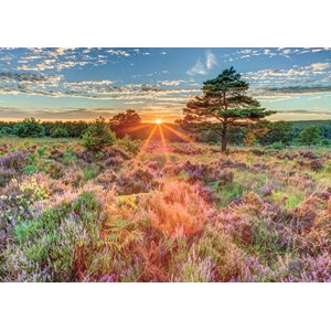 Jumbo (18524) - "Heide-Landschaft im Sonnenuntergang" - 500 Teile Puzzle