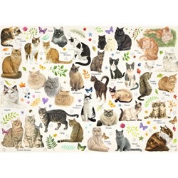 Jumbo (18595) - Francien van Westering: "Katzen Poster" - 1000 Teile Puzzle