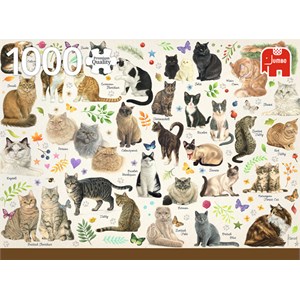 Jumbo (18595) - Francien van Westering: "Katzen Poster" - 1000 Teile Puzzle