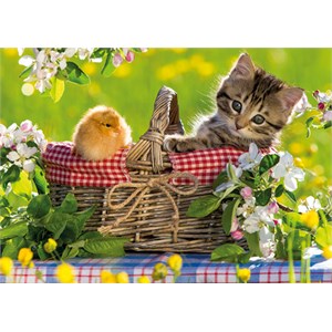 Jumbo (18801) - "Ready for a Picnic" - 500 Teile Puzzle