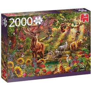 Jumbo (18868) - "Magic Forest at Sunset" - 2000 Teile Puzzle