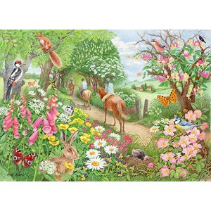 Falcon (11288) - Anne Searle: "An Afternoon Hack" - 1000 Teile Puzzle