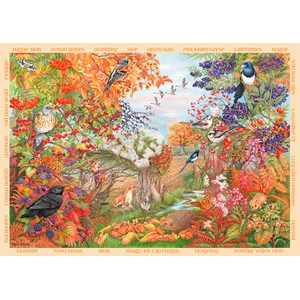 Falcon (11270) - Anne Searle: "Herbsthedgerow" - 500 Teile Puzzle
