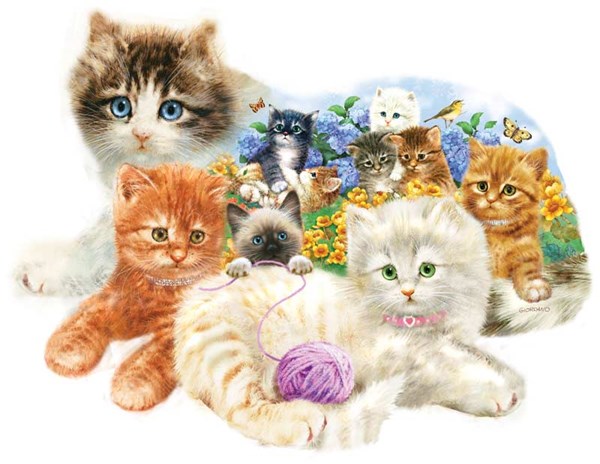 SunsOut (95958) - Greg Giordano: "A Litter of Kittens" - 1000 Teile Puzzle