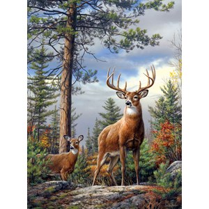 Buffalo Games (11155) - Hautman Brothers: "Standing Proud" - 1000 Teile Puzzle