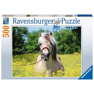 Ravensburger (15038) - "Pferd im Rapsfeld" - 500 Teile Puzzle
