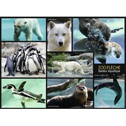 Nathan (86870) - "Animals of the Zoo" - 250 Teile Puzzle