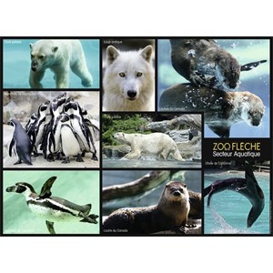 Nathan (86870) - "Animals of the Zoo" - 250 Teile Puzzle